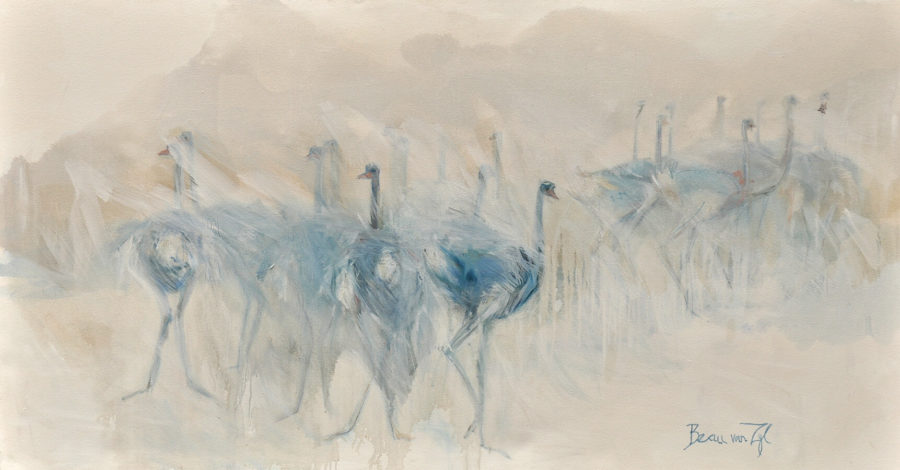 ostriches in the mist